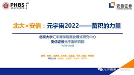 :北大×安信：元宇宙2022 蓄积的力量_