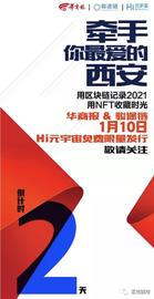 BIN:全世界都在关注的NFT 如何记录西安？_web3币有哪些