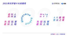 区块链:2021元宇宙年度报告：能否扛起互联网大旗 再造一个10万亿市场？_ROLL