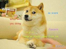 DOG:金色硬核 | 从狗狗币历史看Meme经济_AIMEME币
