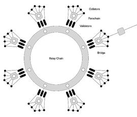 OIN:一文看懂波卡平行链插槽拍卖_玩区块链的都是什么人
