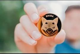 狗狗币:一文了解柴犬币暴涨造就史上最赚钱交易_doge币未来价格