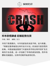 IDA:币市恐慌肆虐 巨鲸趁势扫货?_ALL