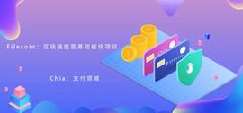 WEB:一文详解，Filecoin与Chia之间的区别_WEB3币