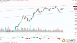 EFI:金色趋势丨与趋势为伍 自然是赢家_btcusdt