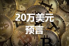 ACA:全球最大加密货币基金：比特币明年达20万美元有依据，最终将达70万_API