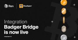 GER:DeFi新玩法丨Bridge Bridge正式集成RenVM，打造BTC一站式商店_Z502 Bad Gateway Token