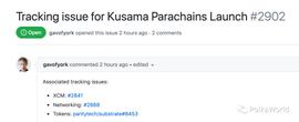 Kusama:Gavin Wood发布Kusama平行链的上线清单_kusama币未来会涨到多少