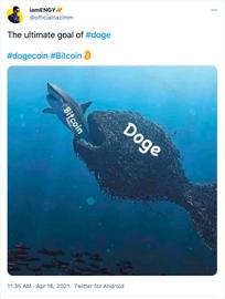 DOG:在海外韭菜眼中 狗狗币才是真正的「比特币」_WDOG币