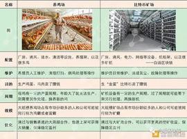 EFI:312过去一年了 比特币还是巴菲特口中的