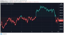 cardano:这些指标可能暗示了比特币“巨鲸”对未来市场的判断_比特币