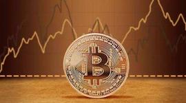 MAN:85％的比特币机构投资者计划购买更多加密资产_比特币