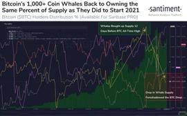 UDO:分析：比特币的短期前景可能取决于这些因素的变化_UDOO