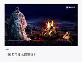 ALA:风险与机会，六大热门匿名币哪个更值得关注？_METASH