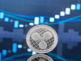 PPL:美 SEC 换将 Ripple 能撕掉「证券」的标签吗？_PLE