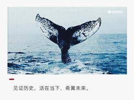 COI:盘点：2020，加密货币十宗“最”_国内可以做加密货币吗