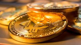 TRO:观点 | 从金融恐慌到比特币爆发，2020年是真正动荡的开始_马斯克币圈最新消息比特币最新消息