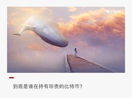 加密货币:围观比特币巨鲸：这23家机构持有88万枚比特币_区块链游戏币拍卖