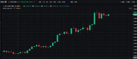 BTC:BTC牛市时，哪些概念币种跟涨了？_RACEFI