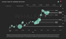TCOIN:比特币鲸鱼集群显示：1.49万美元是比特币持续上涨的关键价位_比特币
