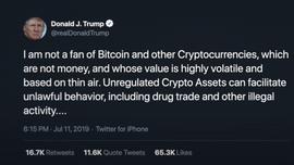 BOO:混乱是阶梯，比特币不关心美国大选_稳定币和加密货币的区别