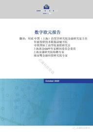 NOVA:欧洲中央银行：数字欧元报告（中文版）_DIN