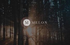 EDA:DeFi 资产管理赛道受热捧，改进后的 Melon 潜力与掣肘在哪？_以太坊币怎么挖矿的