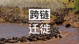 YFI:跨链迁徙——DeFi项目们的抄袭对象们_Votechain