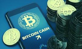 区块链:现在，花1枚BTC就可以对BCH网络进行1小时的51%攻击_比特币