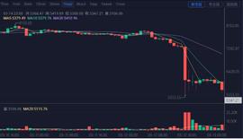 BIT:复盘：比特币历史上最惊心动魄的24小时_买比特币被派出所约谈