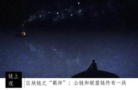 区块链:区块链之“羁绊”：公链和联盟链终有一战_CACOM