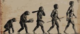 AVE:人类的600万年，信任的600万年_Kenka Metaverse