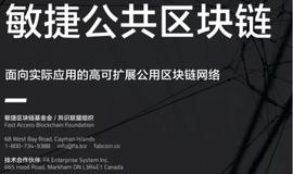 MET:FAB公链Fast Acces Blockchain 多链同行，会成为下一个牛市的新独角兽吗？_区块链