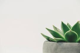比特币:比特币挖矿真的绿色环保？所谓的“破坏环境”事实上站不住脚_COM