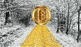 SFOX:Q3加密货币市值暴跌1000亿美元，主因是投资者对机构入市受阻的担忧_Reality Clash Coin
