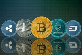 比特币:8 月中旬   加密投资者更看好这三种加密货币_KNOX价格