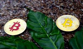 区块链:比特币经历大起大落，Circle CEO依然坚信其避险属性_BTC