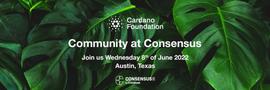 cardano:Cardano（ADA）升级即将落地能带动ADA起飞吗？_CAR