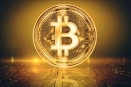 COI:比特币文摘：初学者怎么“预测”比特币BTC价格「小白变大神」_XBTC21币