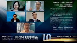 USDT:China SIF夏季峰会圆桌对话：转型金融要有可信的计划、战略和指标_NFT Gallery