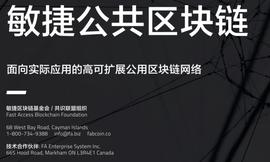 DEFI:真正去中心化的、安全可靠的商业应用高性能区块链——敏捷公共区块链（发链，Fab）详解_DeFireX