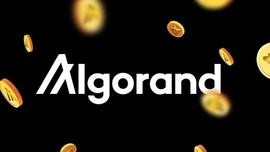 GORA:头条观察 | Algorand上还没有爆发的项目有哪些？_pando币局
