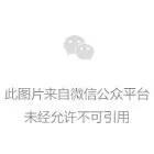 TChain:QTC：区块链3.0 WEB3的基建_TCHA