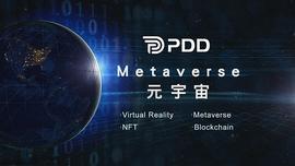 元宇宙:专访-NFT行业巨头PDD,打开元宇宙之门_元宇宙最新局报案了