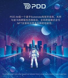 NFT:一文读懂去中心化NFT新星PDD.IM_PET