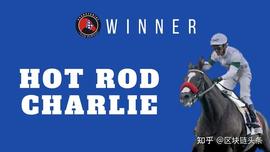 NFT:AVAX上首个竞技类游戏HorseRacingWinner来袭，盲盒抢马热度超ZED RUN？_Ninneko