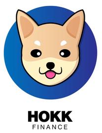FIN:牛市在即！中国市场投资热情不断高涨，瞩意$HOKK暴涨百倍，或将飞涨至1美元！_Rikkei Finance