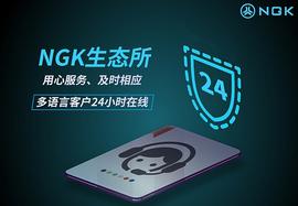 STB:2021 NGK生态所体验好、交易快 引人注目!_LEV
