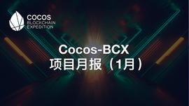 COCO:Cocos-BCX 项目月报（2021.01）_TPS
