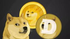 加密货币:一天最高涨10倍，DOGE币一夜登上微博推特热搜_apecoin币作为货币总量固定